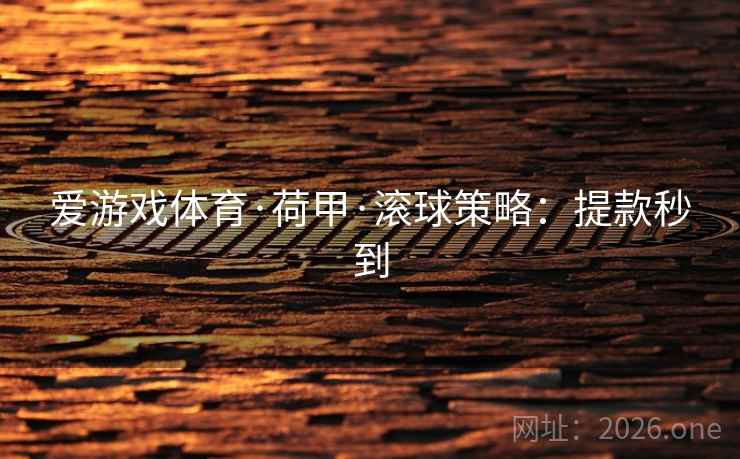 爱游戏体育·荷甲·滚球策略:提款秒到